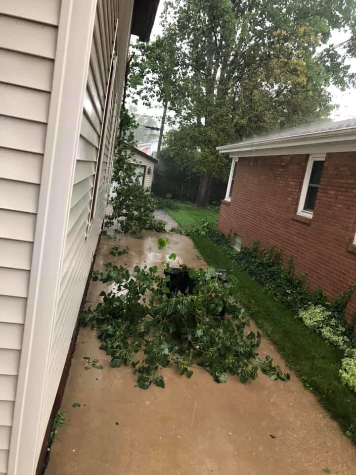 A residential driveway near Mitchell School